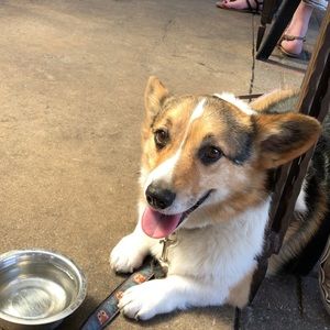 Meet your Posher, Daniel